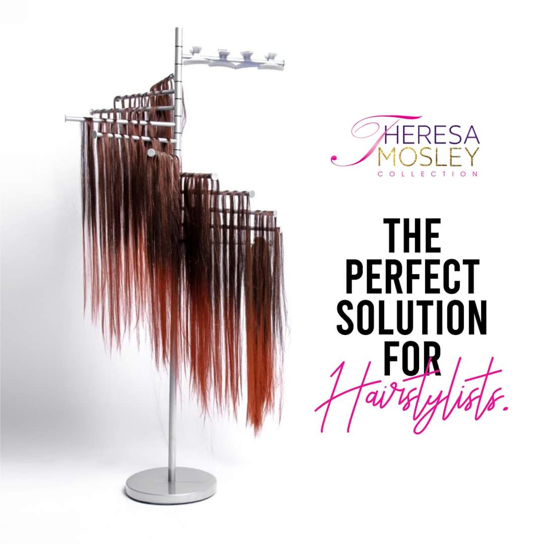 Theresa Mosley Collection Free Standing Hair Assistant = Hair Extension  Holder Braiding Hair Rack - Stainless Steel 12 Layers Extensions Holder  Braiding Rack fo…